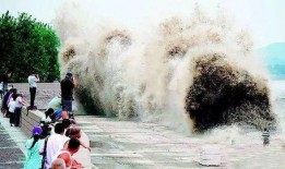 观潮吃瓜视频,揭秘网络短视频背后的娱乐现象