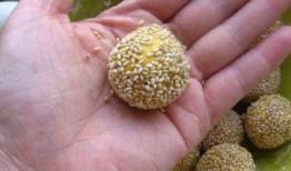 老婆吃芝麻瓜,老婆的甜蜜诱惑，家的温馨味道