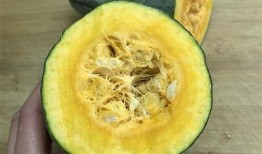 没味吃瓜,没味吃瓜的奇妙之旅