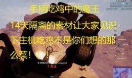 呆瓜不呆瓜吃鸡视频,笑料百出，呆瓜不呆瓜的欢乐之旅