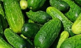 吃瓜天一,网络红人的崛起之路