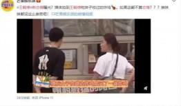 道明寺吃瓜,揭秘娱乐圈背后的秘密与真相