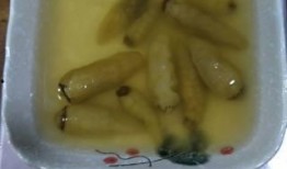 卖手剥笋吃瓜,品瓜乐享——卖手美食之旅