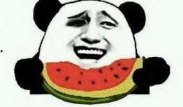 励志吃瓜的麻瓜,励志吃瓜者的成长之路