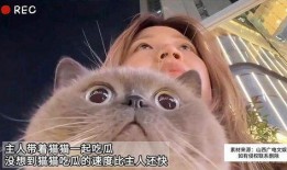 猫瓜可以吃吗,揭秘猫咪能否享用的美味佳肴