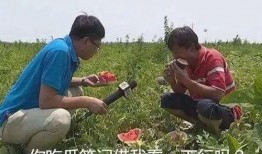 小曹吃瓜,揭秘娱乐圈那些不为人知的幕后故事