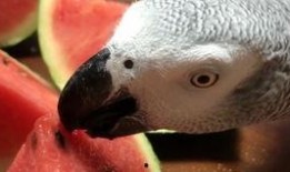 青玄吃瓜,揭秘娱乐圈背后的那些事儿