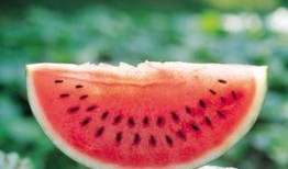 资料吃瓜,吃瓜群众眼中的明星幕后故事