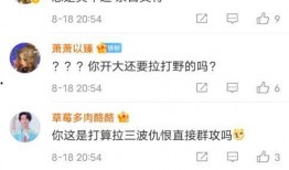 吵架吃瓜音乐,一场别开生面的吵架与音乐盛宴
