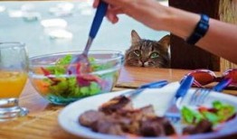 吃瓜吃的两眼发光,两眼发光的吃瓜体验