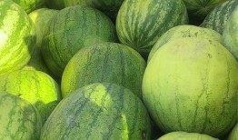 多人吃瓜,多人吃瓜，笑料横生