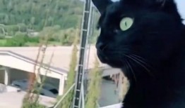 隔壁邻居吵架吃瓜,吃瓜群众围观现场