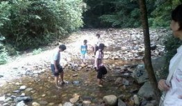 吃瓜小六子,揭秘娱乐圈背后的那些事儿