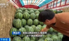 迪奇吃瓜,揭秘娱乐圈幕后故事