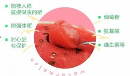 机智张吃瓜,揭秘娱乐圈那些不为人知的幕后故事