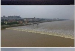 观潮吃瓜视频,揭秘网络短视频背后的娱乐现象