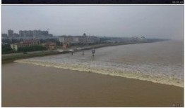 观潮吃瓜视频,揭秘网络短视频背后的娱乐现象