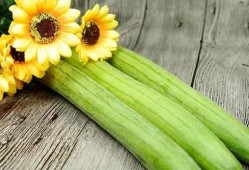 立秋吃一瓜,瓜果飘香——探寻传统美食“吃一瓜”的奥秘