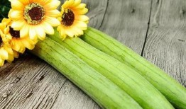 立秋吃一瓜,瓜果飘香——探寻传统美食“吃一瓜”的奥秘