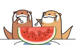 夏季吃麒麟瓜文案,麒麟瓜，清凉一夏的甜蜜守护者