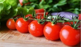 番茄吃瓜的气泡,揭秘气泡生成之谜