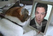 pdd团吃瓜,一场娱乐与八卦的狂欢盛宴