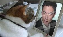 pdd团吃瓜,一场娱乐与八卦的狂欢盛宴