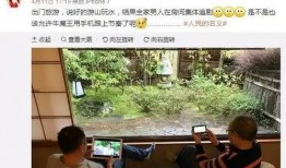 豪门集体吃瓜,一场集体吃瓜的狂欢盛宴