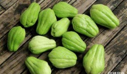 洋瓜可以炒着吃