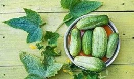 每日吃瓜热门吃瓜,揭秘娱乐圈最新热点事件