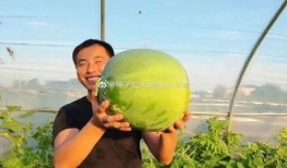 瓜婶吃瓜,揭秘娱乐圈那些不为人知的幕后故事