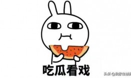 怎样打破吃瓜困境,探索新时代的社交新路径