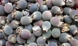 吃瓜甲乙丙丁,揭秘娱乐圈背后的故事