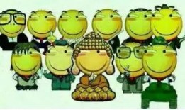 独立个体可以吃瓜吗,畅享瓜界盛宴