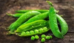 如何改变吃瓜文化