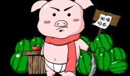 呆瓜卖花吃瓜图片大全集,趣味盎然的图片故事集