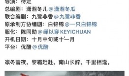 理性吃瓜提取密码,解码网络舆论背后的真相