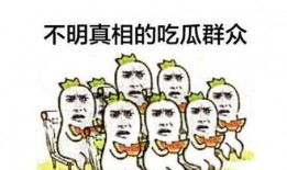 吃瓜群众能改名吗,探索网络昵称的演变与魅力