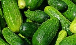 梦见吃瓜有子,吃瓜有子的寓意与启示