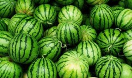 夏天吃瓜总拉稀,吃瓜拉稀的防治攻略