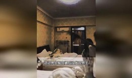 综艺吃瓜翻车现场,明星意外露馅，真相曝光引热议