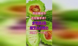 做完手术可以吃小瓜,小瓜助力康复之旅