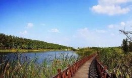 长垣滨湖新城吃瓜,夏日吃瓜盛地，畅享清凉时光