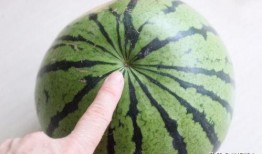 如何拍吃瓜照片视频