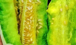 吃的瓜太甜,揭秘那些让人回味无穷的甜瓜之谜