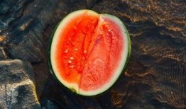 蓝宝吃瓜,揭秘娱乐圈幕后故事