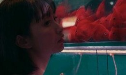 吃瓜少女全部视频,揭秘娱乐圈幕后故事