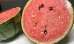 吃瓤的瓜,探寻吃瓤瓜的独特魅力