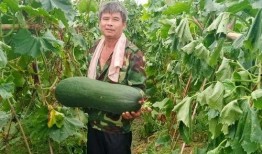 劲爆吃瓜无毒,揭秘娱乐圈幕后真相