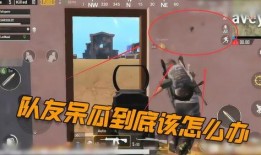 呆瓜吃鸡的视频,趣味横生的游戏体验分享